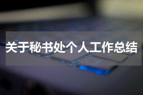 关于秘书处个人工作总结