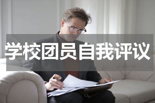 学校团员自我评议