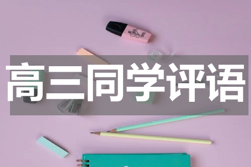 高三同学评语