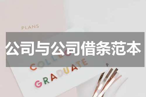 公司与公司借条范本