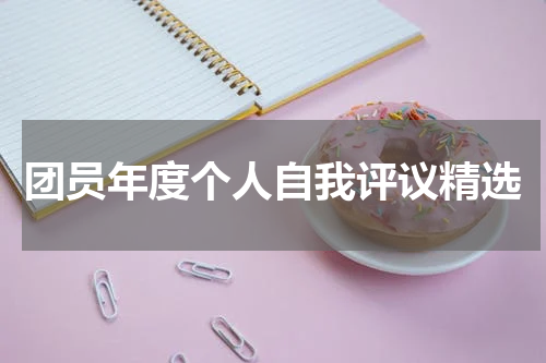 团员年度个人自我评议精选