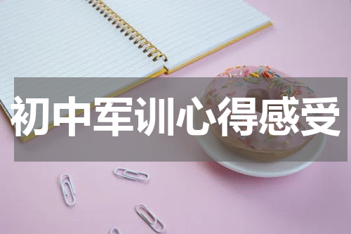 初中军训心得感受