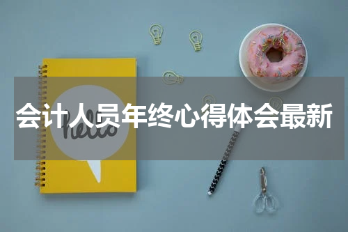 会计人员年终心得体会最新