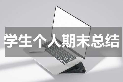 学生个人期末总结