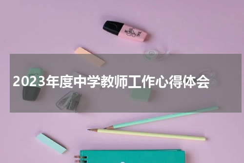 2023年度中学教师工作心得体会