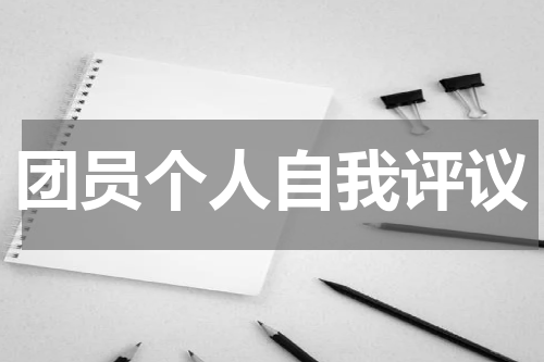 团员个人自我评议