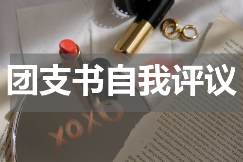 团支书自我评议
