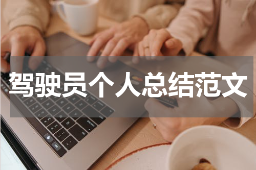 驾驶员个人总结范文