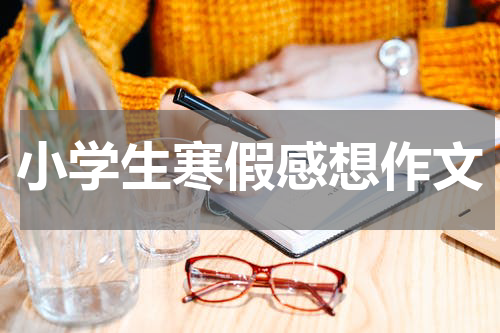 小学生寒假感想作文