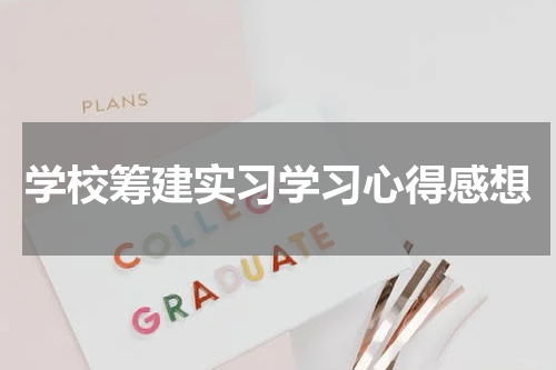 学校筹建实习学习心得感想