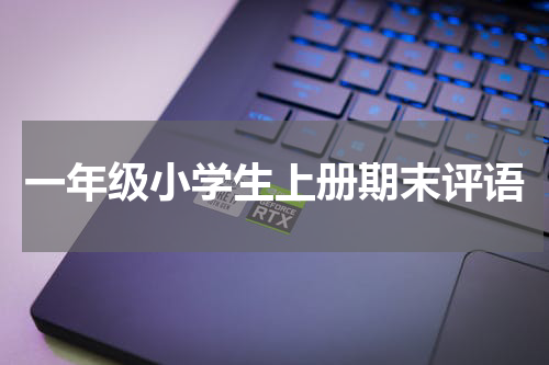 一年级小学生上册期末评语