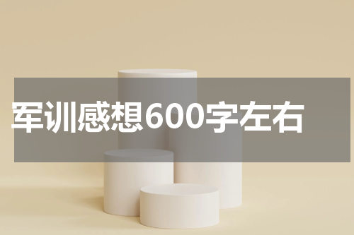 军训感想600字左右