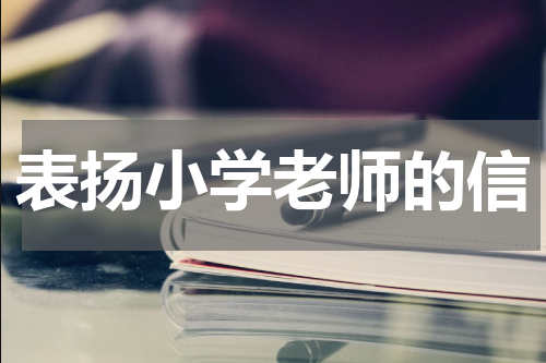 表扬小学老师的信