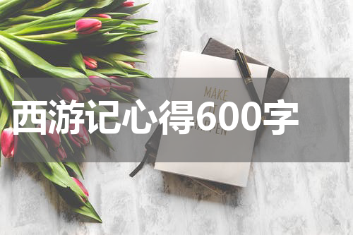 西游记心得600字