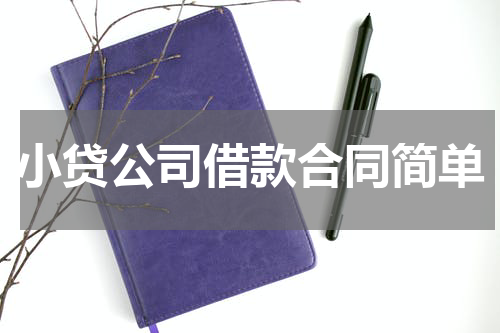 小贷公司借款合同简单