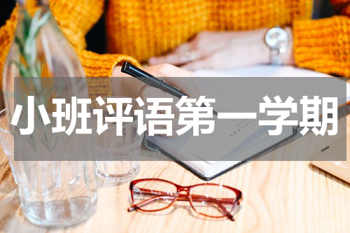 小班评语第一学期