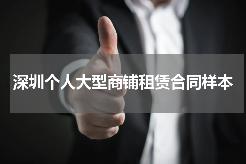 深圳个人大型商铺租赁合同样本