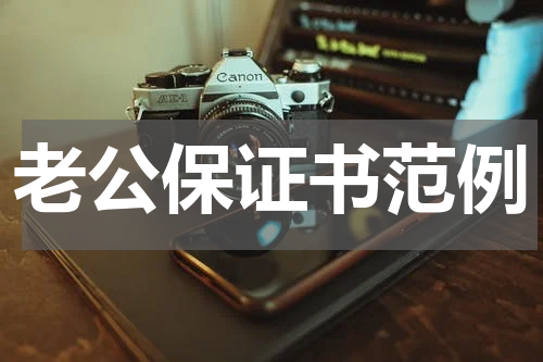老公保证书范例