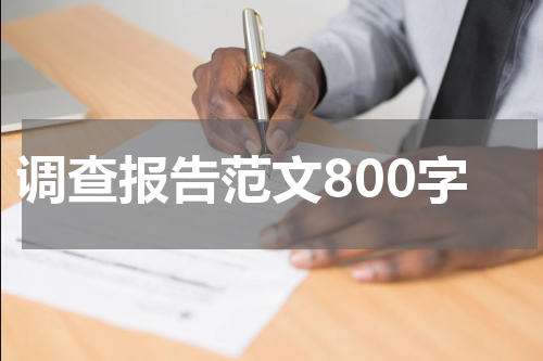 调查报告范文800字