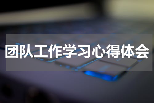 团队工作学习心得体会