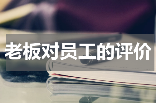 老板对员工的评价