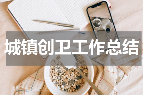 城镇创卫工作总结