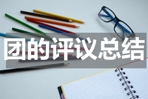团的评议总结