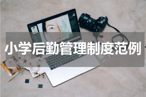 小学后勤管理制度范例