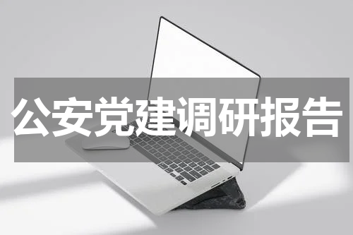 公安党建调研报告