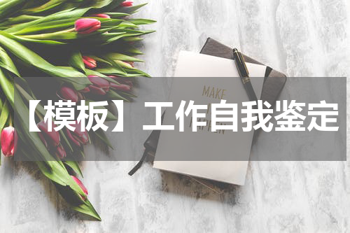 【模板】工作自我鉴定