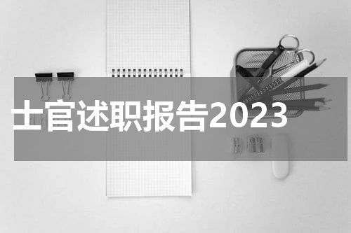 士官述职报告2023