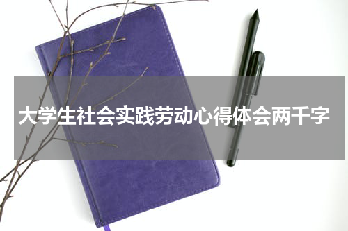 大学生社会实践劳动心得体会两千字