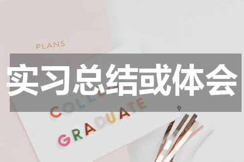 实习总结或体会