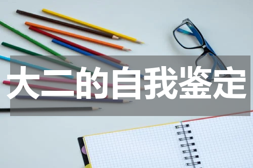 大二的自我鉴定