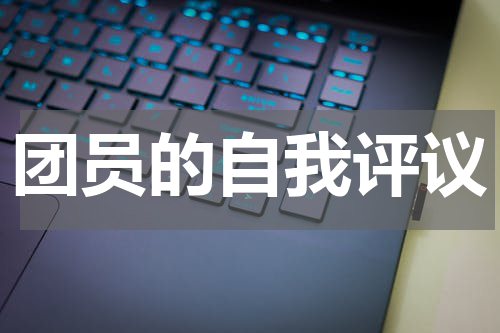 团员的自我评议