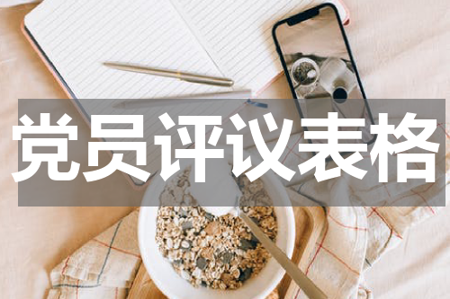 党员评议表格