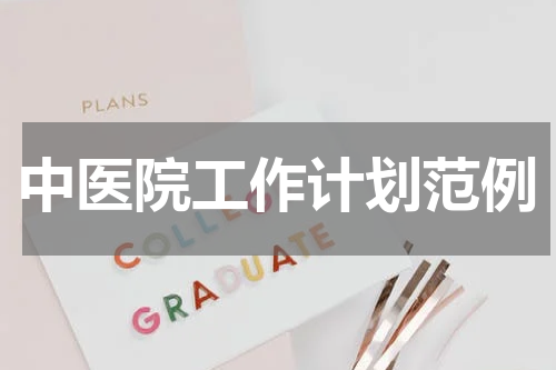 中医院工作计划范例