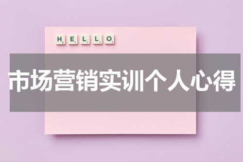 市场营销实训个人心得