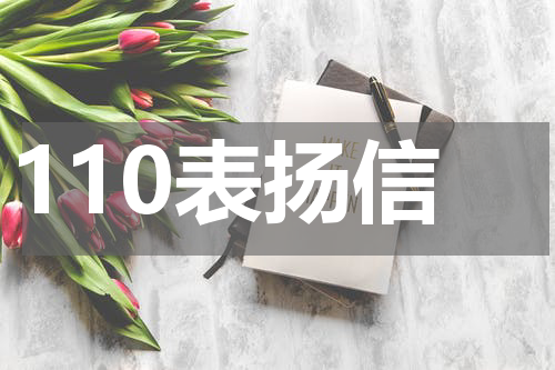 110表扬信