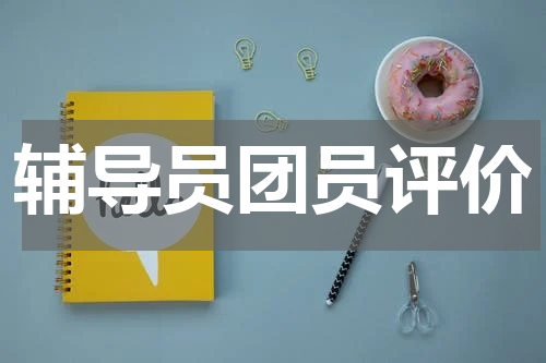 辅导员团员评价