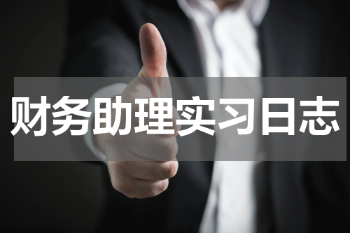 财务助理实习日志
