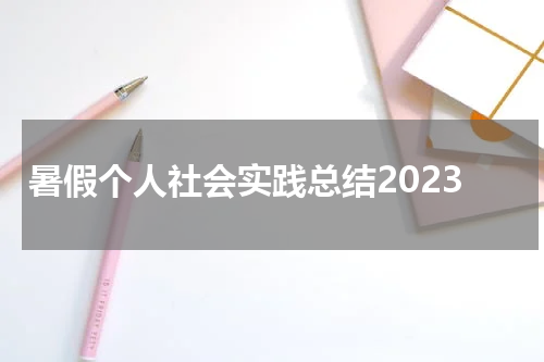 暑假个人社会实践总结2023