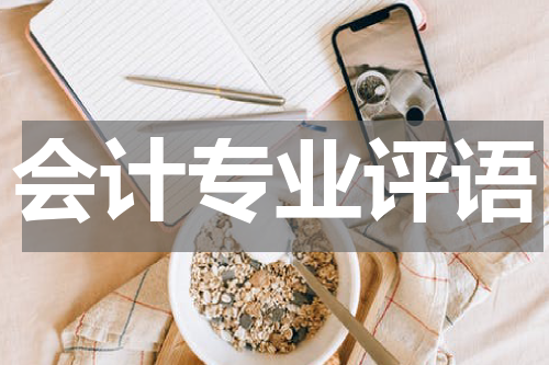 会计专业评语