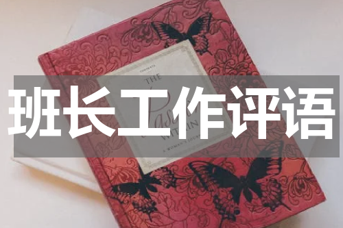班长工作评语