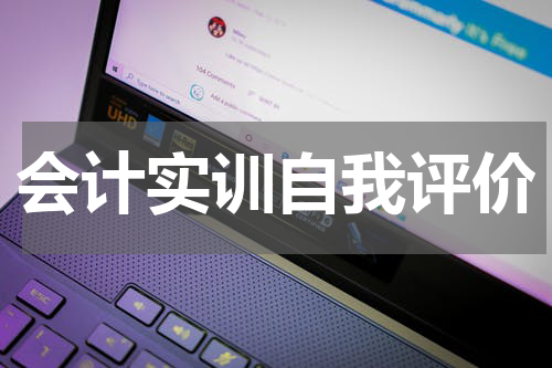 会计实训自我评价