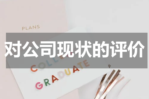 对公司现状的评价