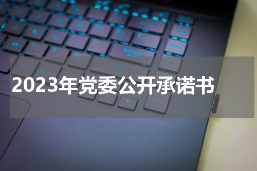2023年党委公开承诺书