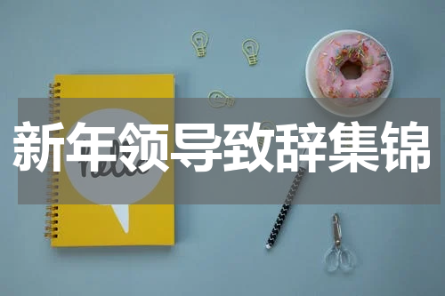 新年领导致辞集锦