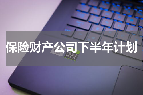 保险财产公司下半年计划
