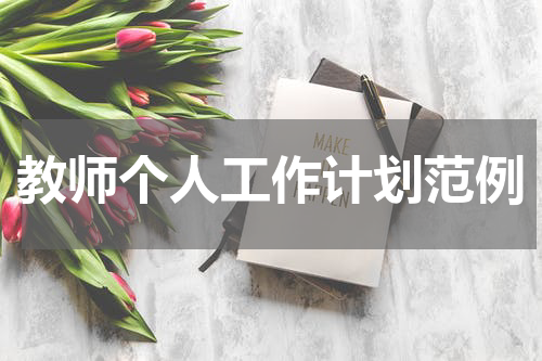 教师个人工作计划范例